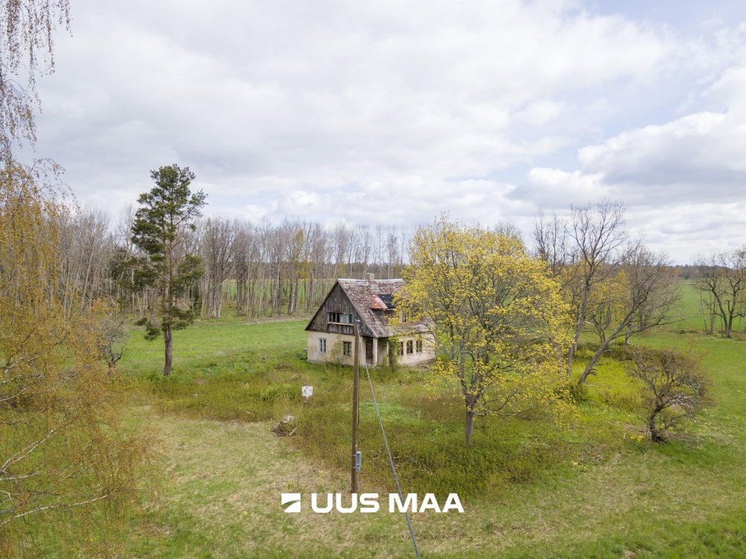 Saaremaa vald, Reo küla, Pihlaka