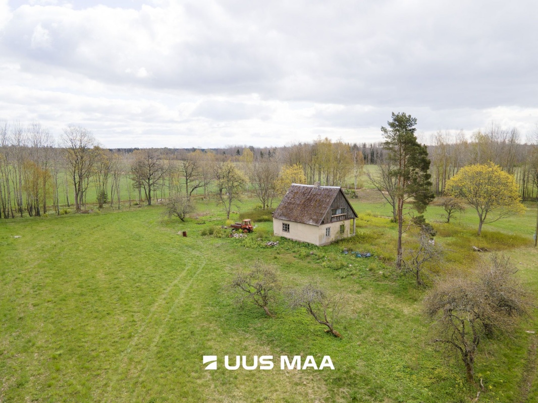 Saaremaa vald, Reo küla, Pihlaka