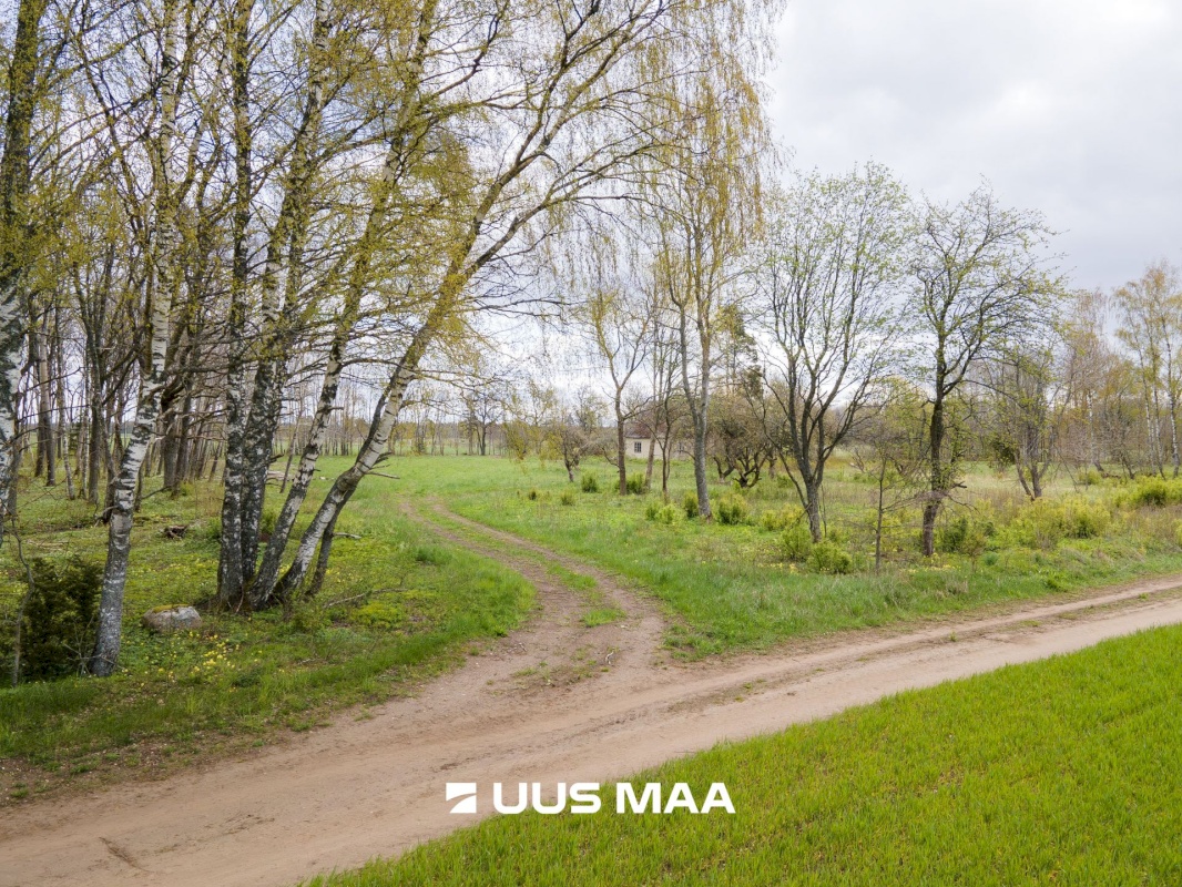 Saaremaa vald, Reo küla, Pihlaka