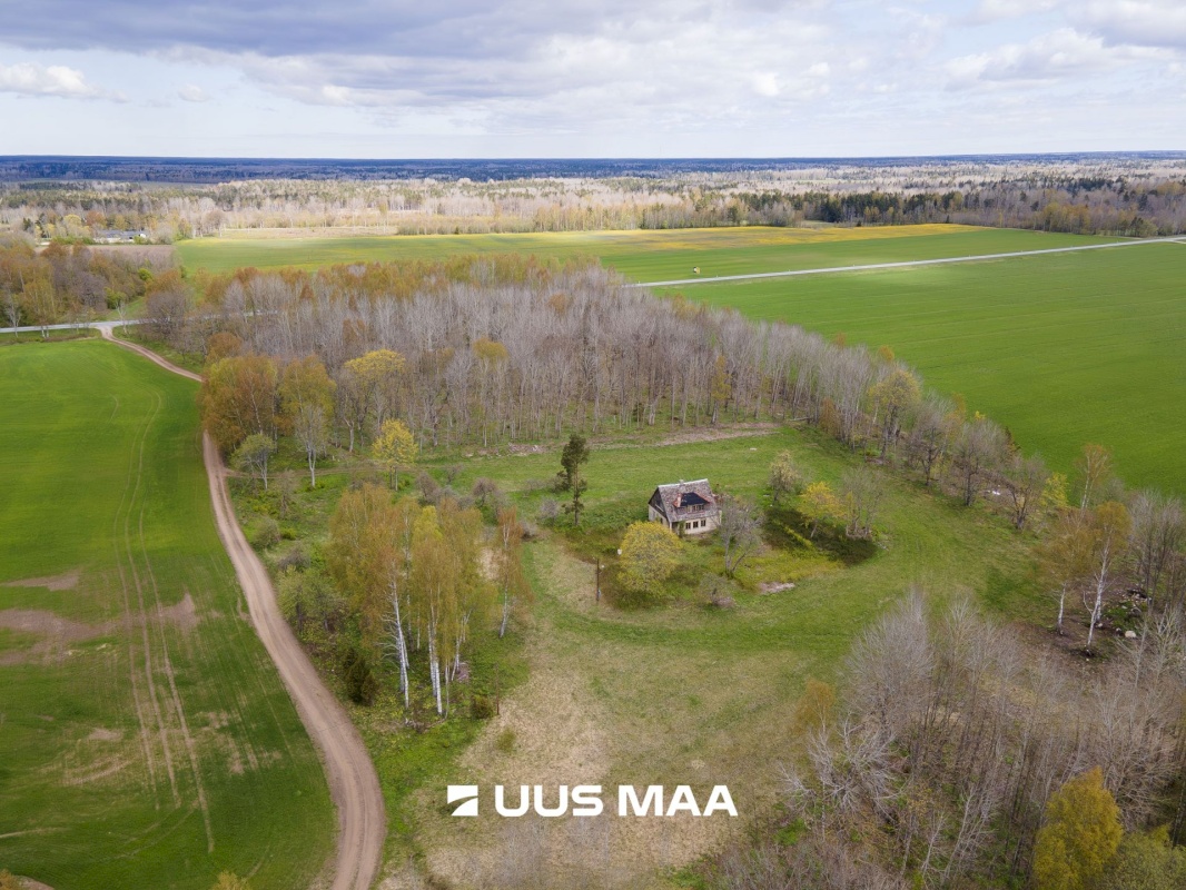 Saaremaa vald, Reo küla, Pihlaka