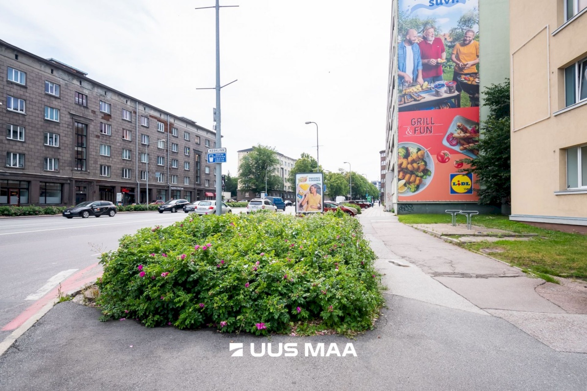 Tallinn, Kesklinna linnaosa, Liivalaia 29