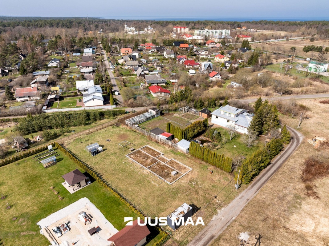 Harku vald, Türisalu küla, Pikaninapuu 4