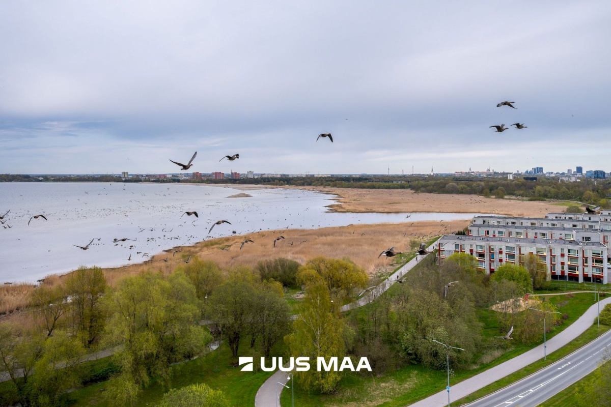 Tallinn, Haabersti linnaosa, Vabaõhumuuseumi tee 5