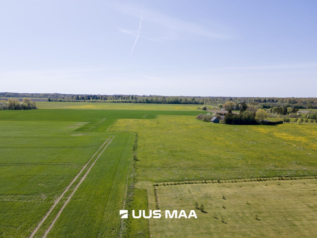 Saaremaa vald, Leisi alevik, Pikamäe tn 4b/Elli