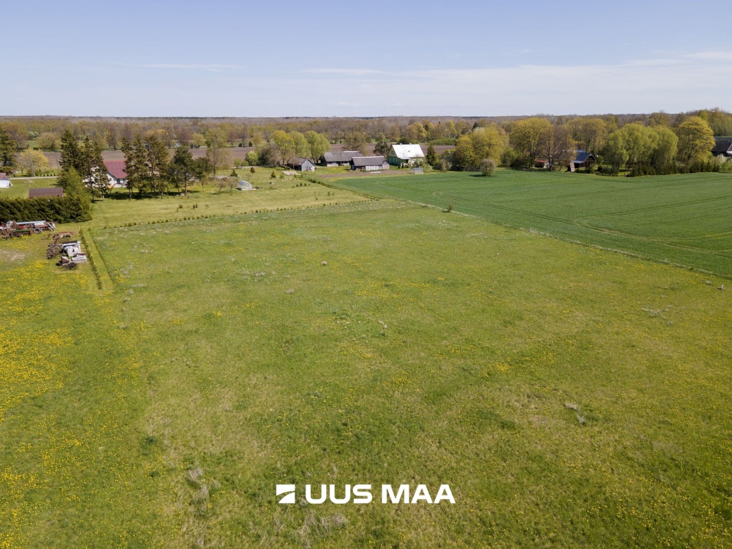 Saaremaa vald, Leisi alevik, Pikamäe tn 4b/Elli