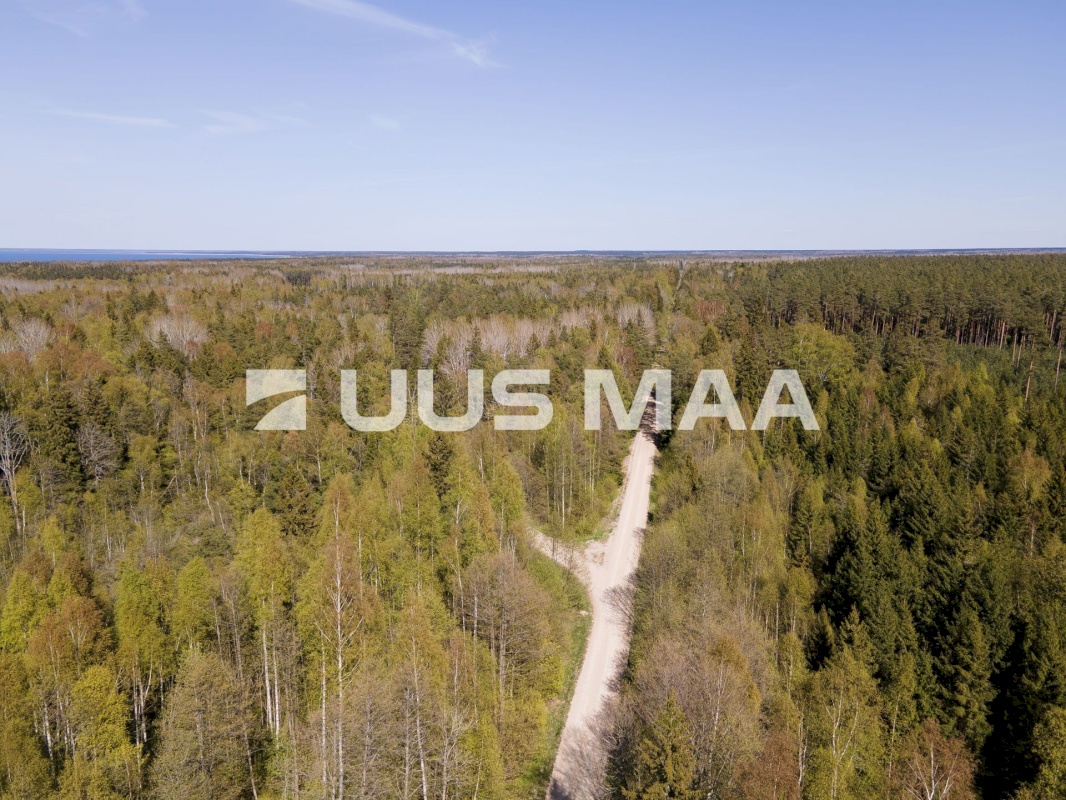 Saaremaa vald, Liiküla