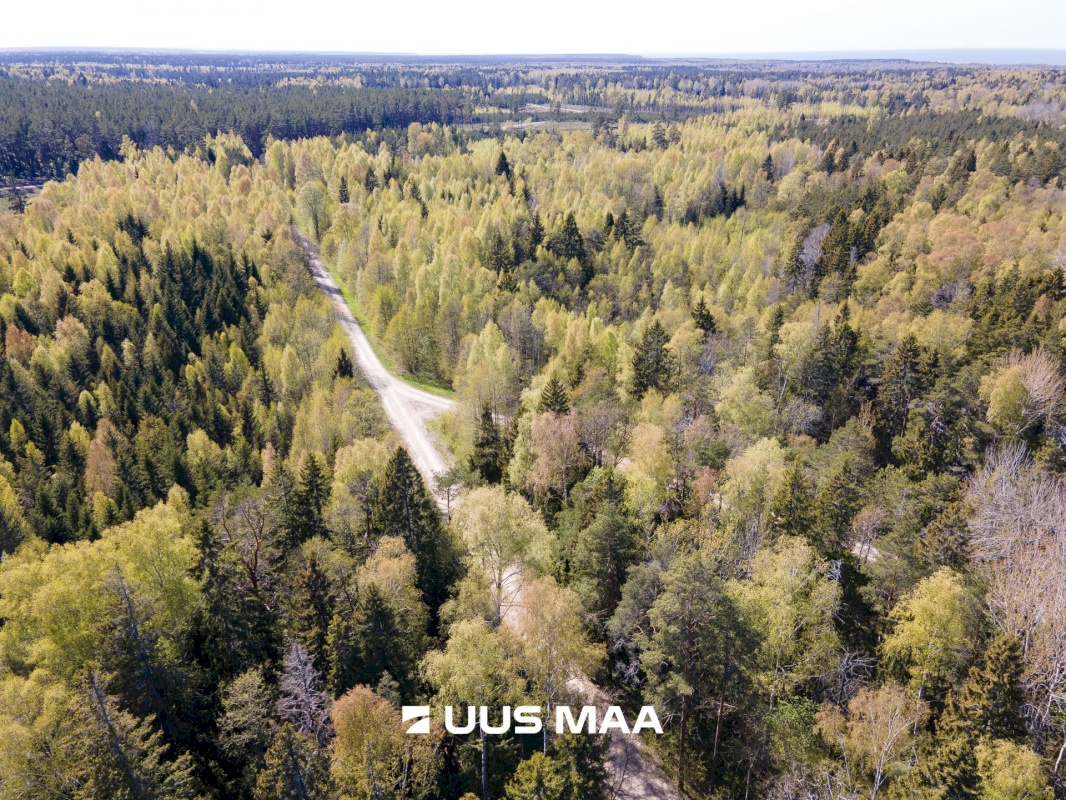 Saaremaa vald, Liiküla