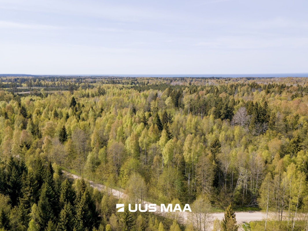 Saaremaa vald, Liiküla