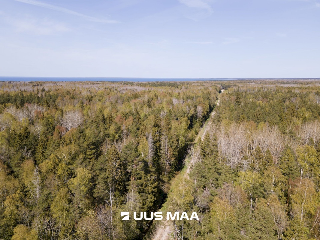 Saaremaa vald, Liiküla