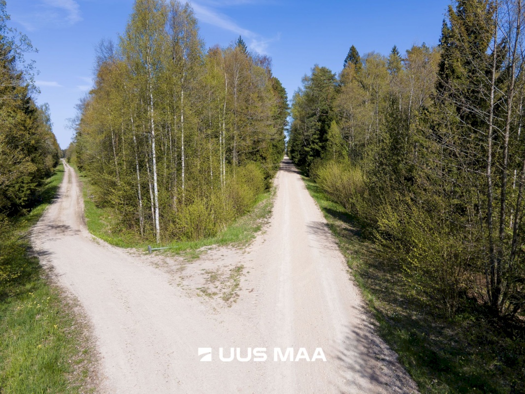 Saaremaa vald, Liiküla