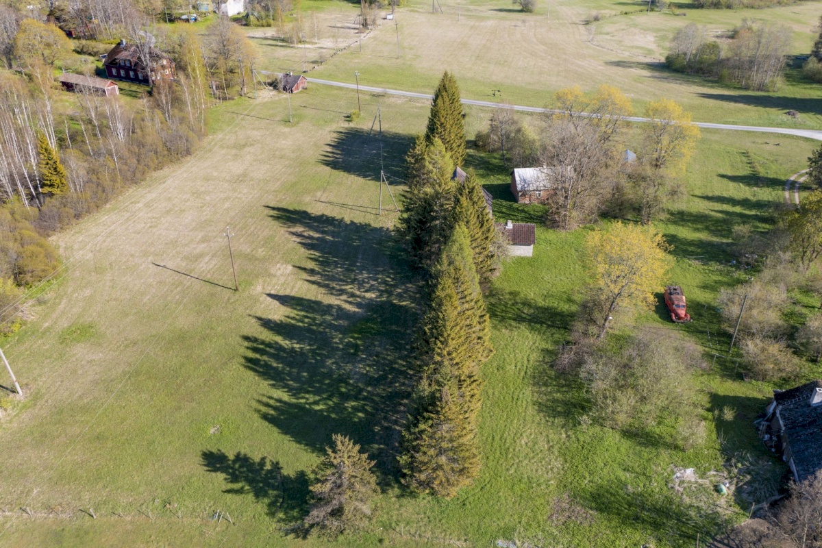 Järva vald, Esna küla, Roheline 3