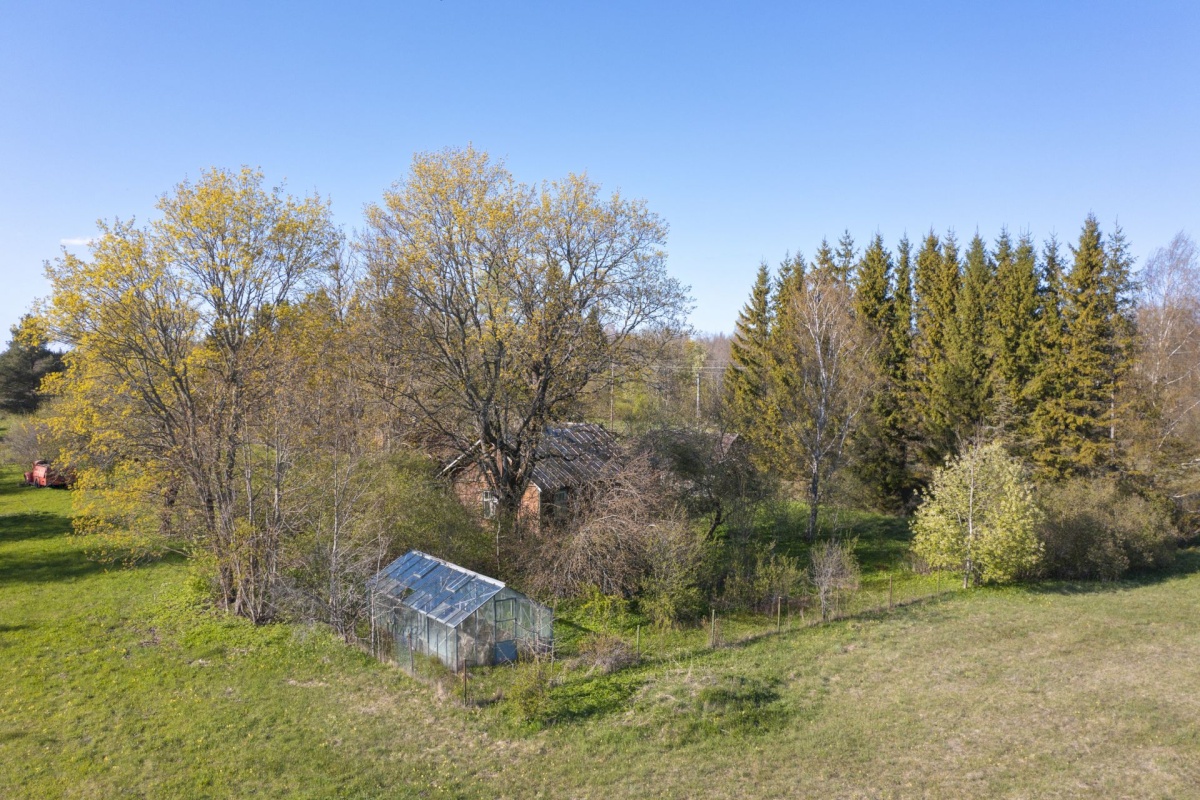 Järva vald, Esna küla, Roheline 3