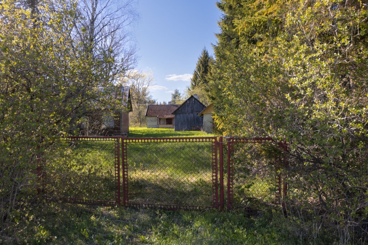 Järva vald, Esna küla, Roheline 3