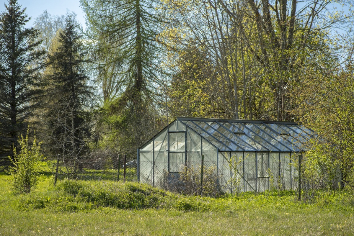 Järva vald, Esna küla, Roheline 3