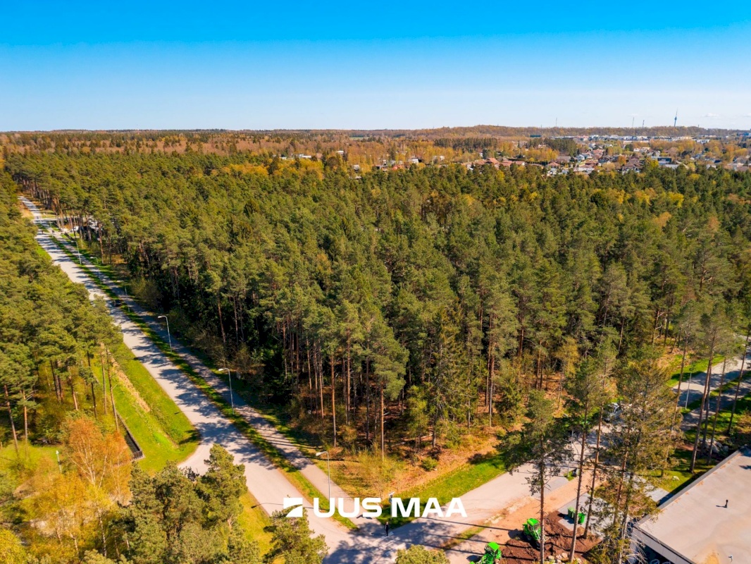 Viimsi vald, Pringi küla, Laaneotsa tee 7
