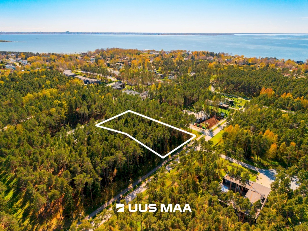 Viimsi vald, Pringi küla, Laaneotsa tee 7