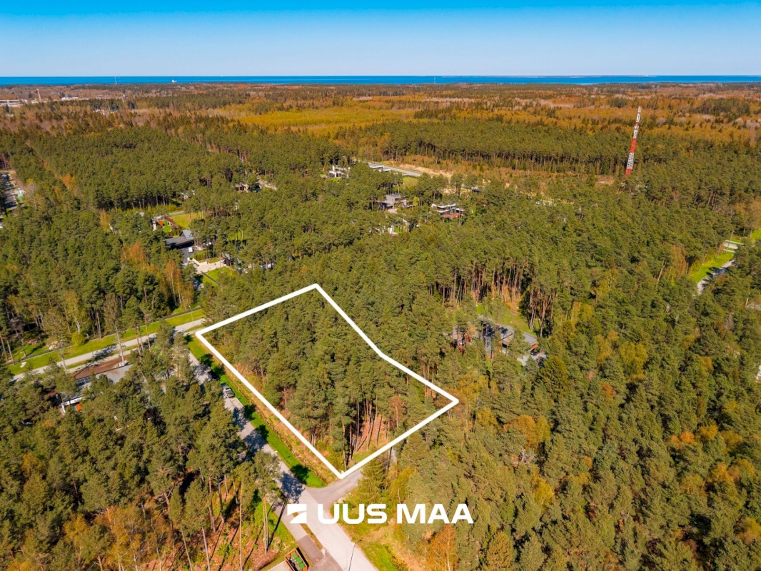 Viimsi vald, Pringi küla, Laaneotsa tee 7