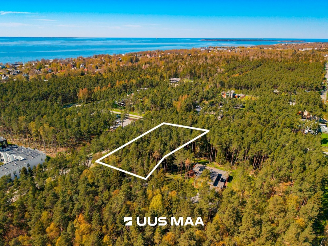 Viimsi vald, Pringi küla, Laaneotsa tee 7