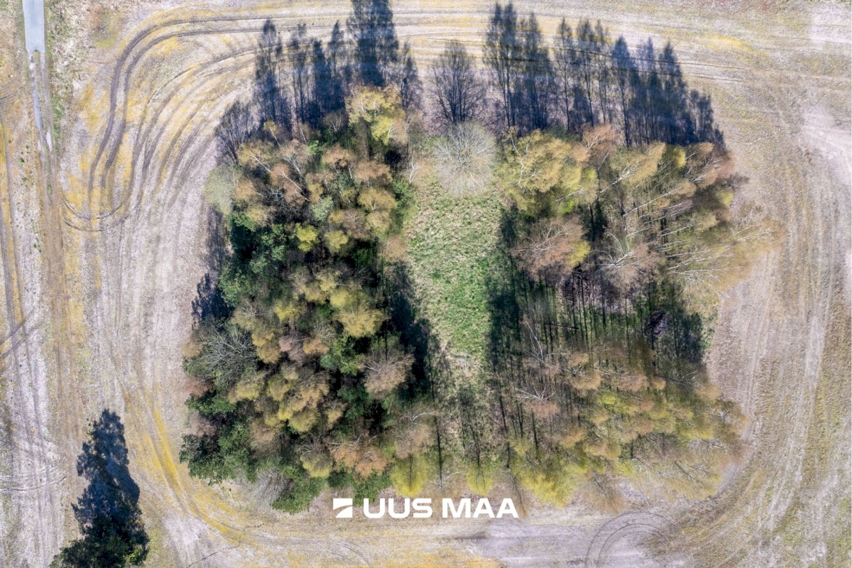 Kose vald, Rõõsa küla