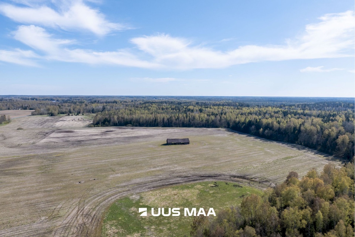 Kose vald, Rõõsa küla