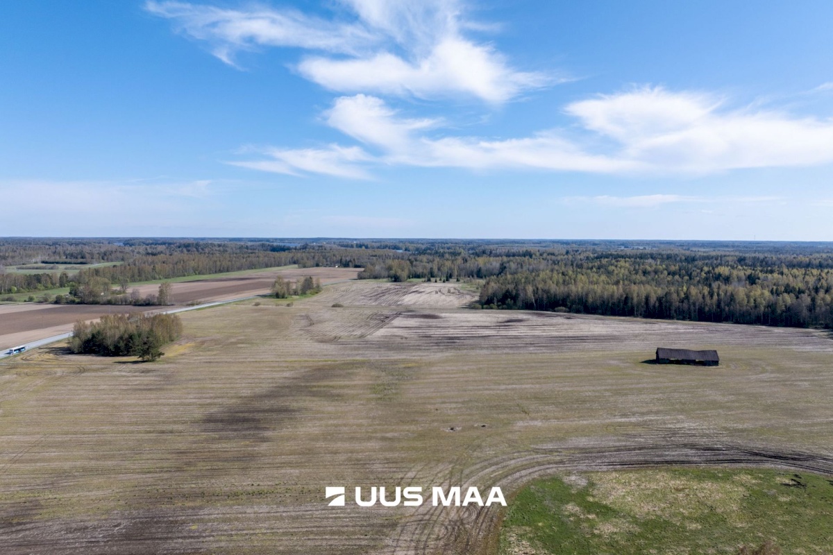 Kose vald, Rõõsa küla