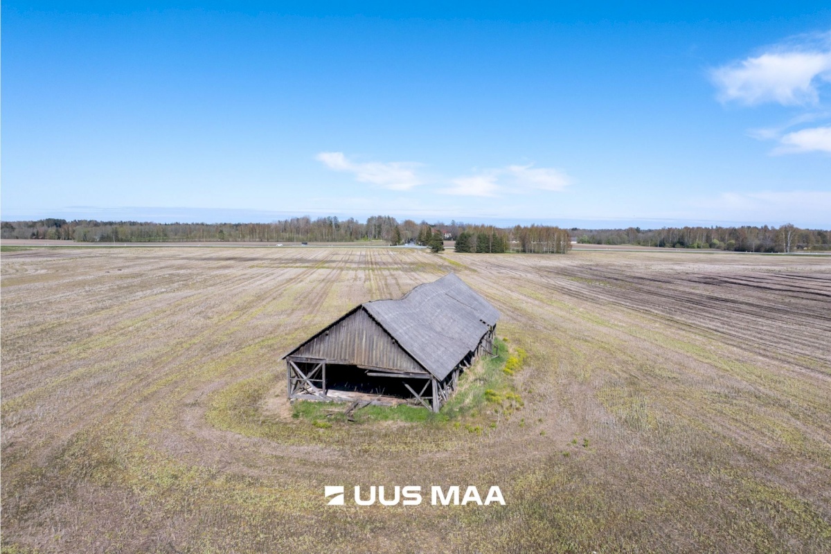 Kose vald, Rõõsa küla
