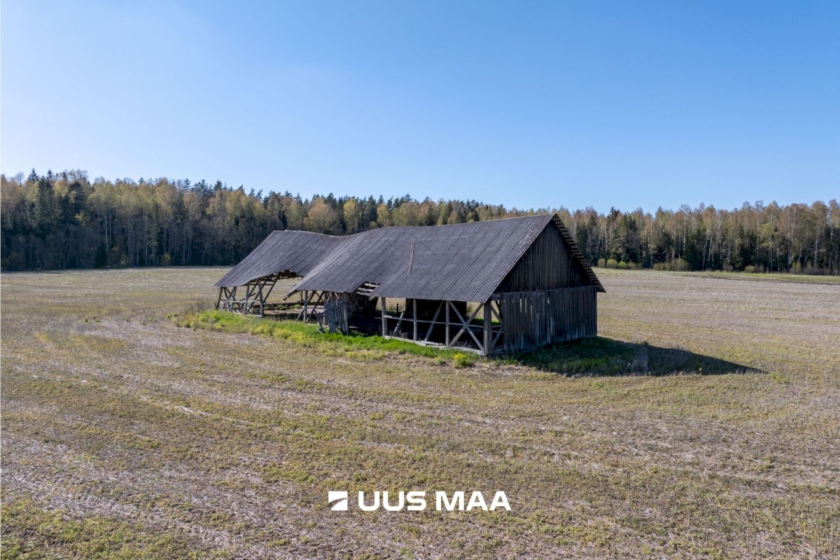 Kose vald, Rõõsa küla