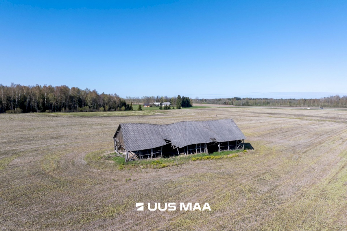 Kose vald, Rõõsa küla
