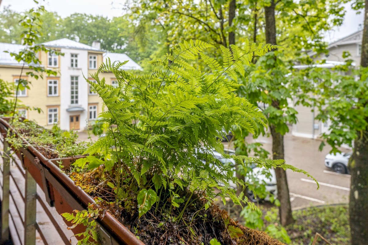 Tartu linn, Tartu linn, Kesklinn, Vallikraavi 12