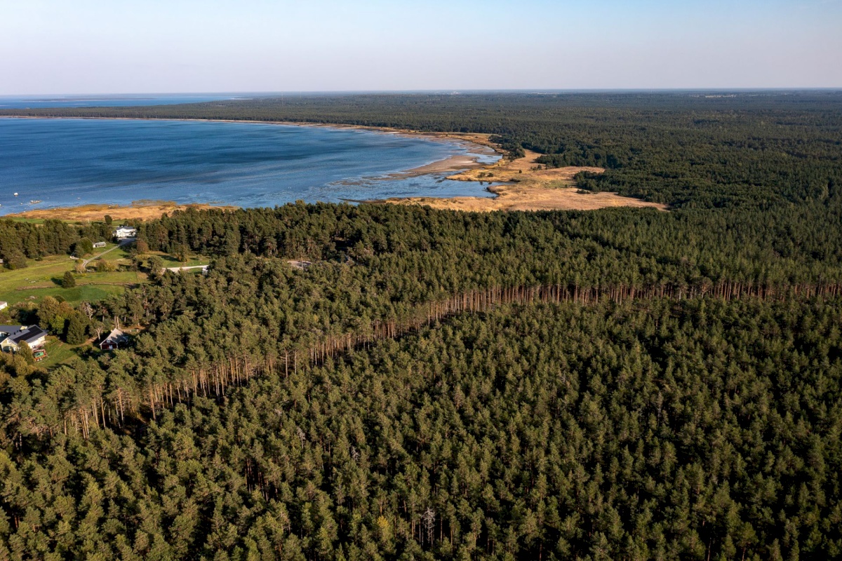 Jõelähtme vald, Ihasalu küla, Ihasalu tee 15