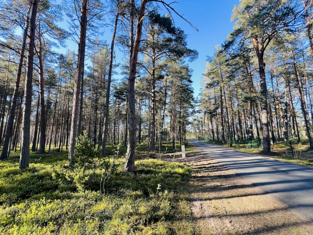 Jõelähtme vald, Ihasalu küla, Ihasalu tee 15