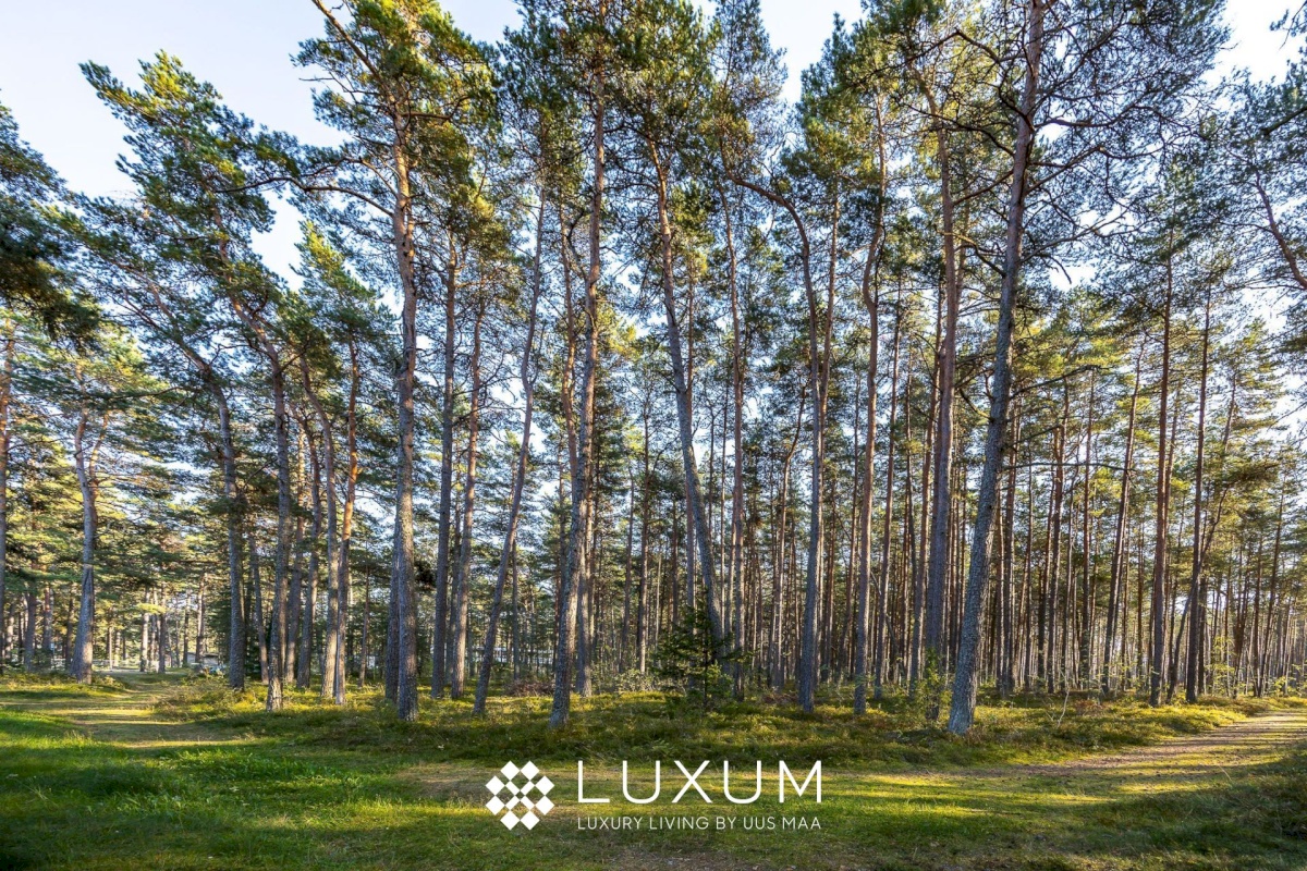 Jõelähtme vald, Ihasalu küla, Ihasalu tee 15