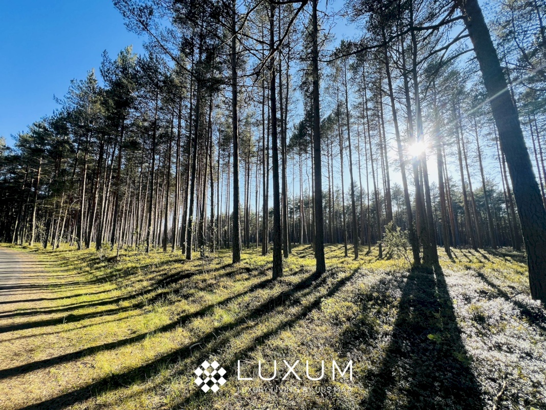 Jõelähtme vald, Ihasalu küla, Ihasalu tee 15