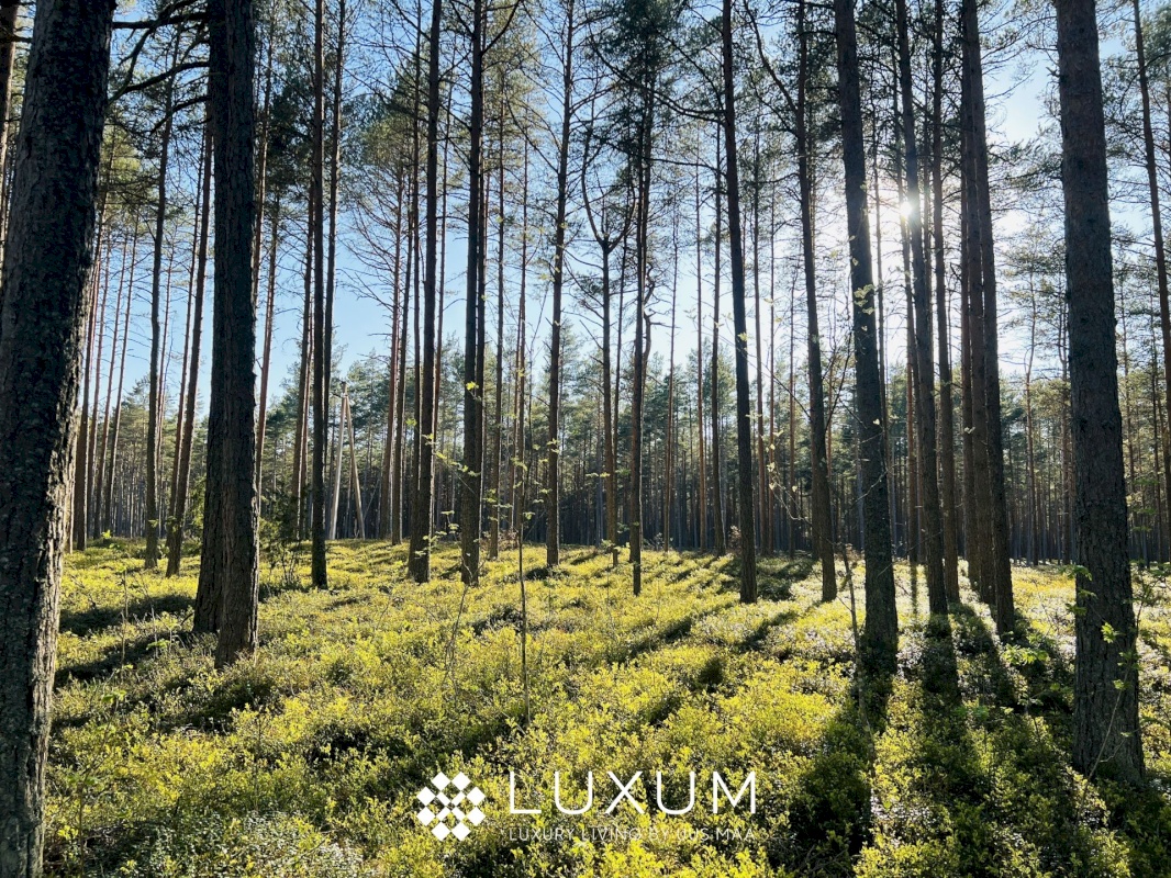 Jõelähtme vald, Ihasalu küla, Ihasalu tee 15