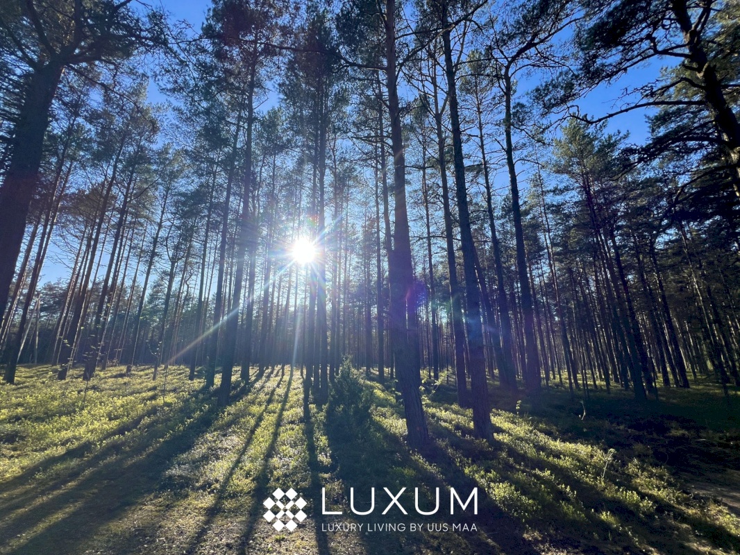 Jõelähtme vald, Ihasalu küla, Ihasalu tee 15