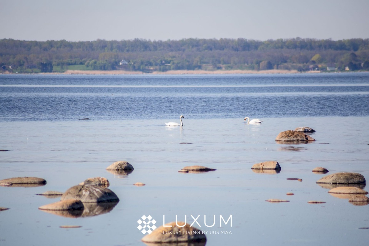 Jõelähtme vald, Ihasalu küla, Ihasalu tee 15
