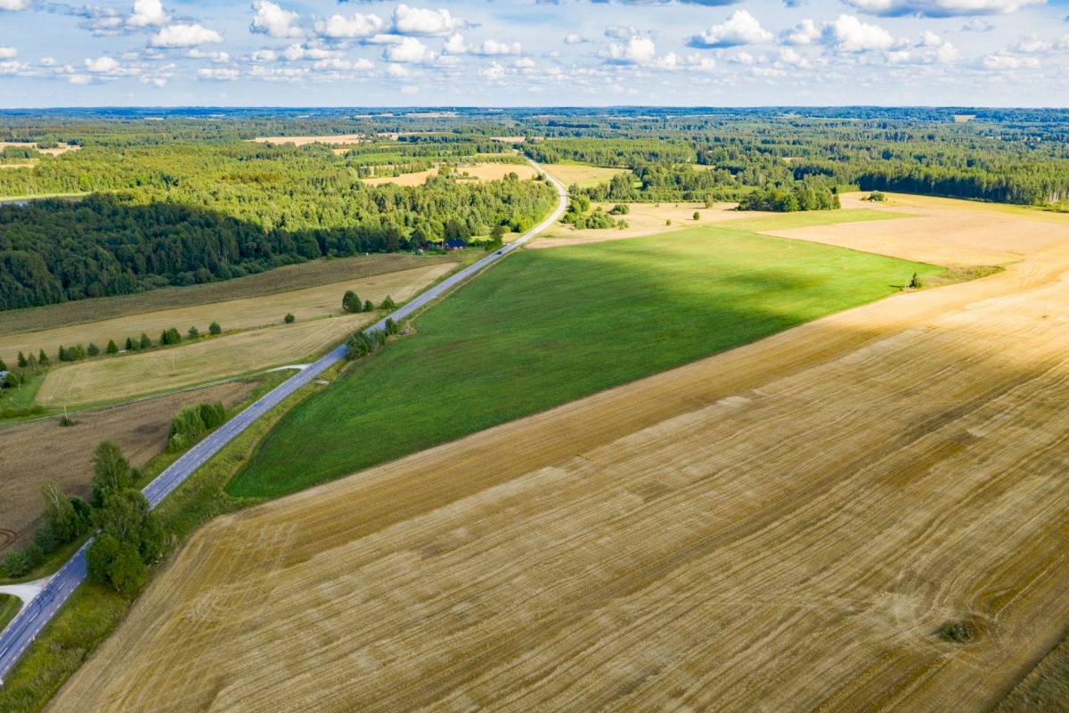Nõo vald, Kolga küla