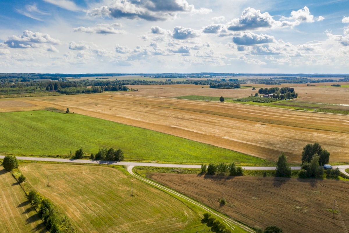 Nõo vald, Kolga küla