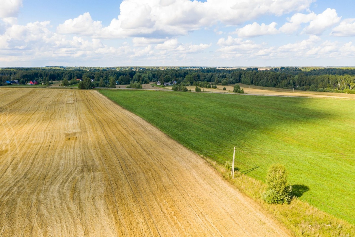 Nõo vald, Kolga küla