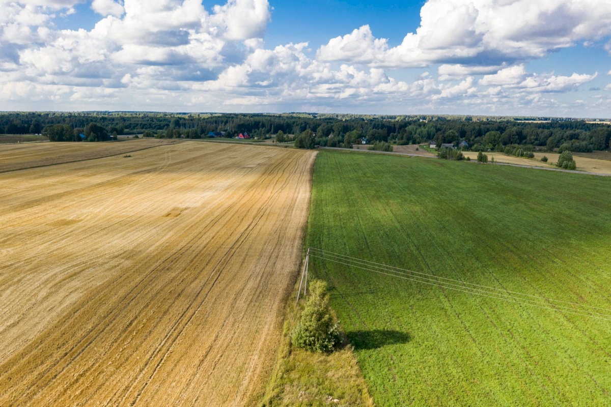 Nõo vald, Kolga küla