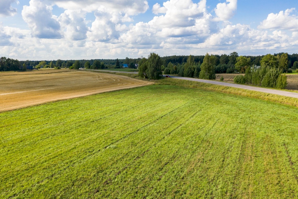 Nõo vald, Kolga küla