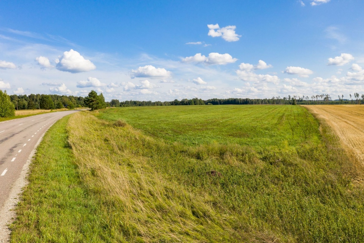 Nõo vald, Kolga küla