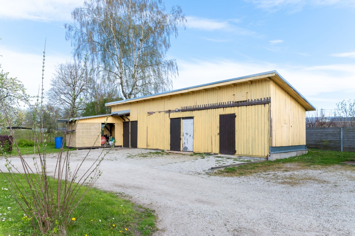 Rakvere linn, Vee 20