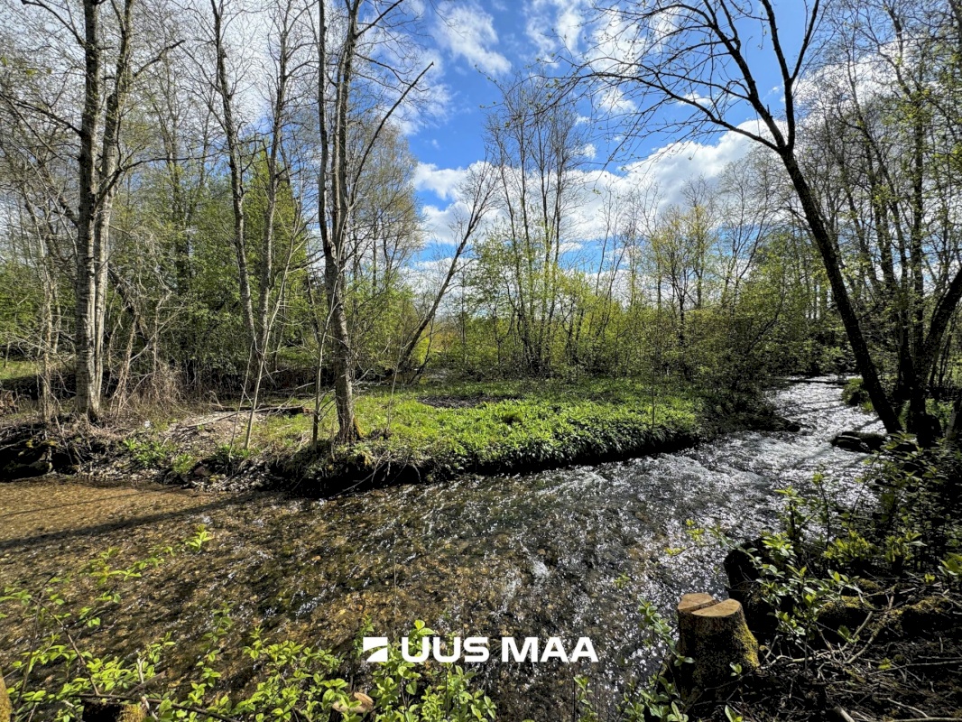 Vinni vald, Vetiku küla, Muru vkt 12