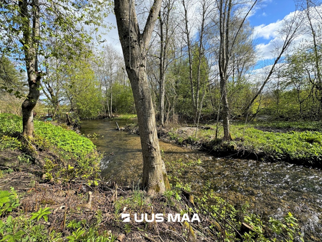 Vinni vald, Vetiku küla, Muru vkt 12