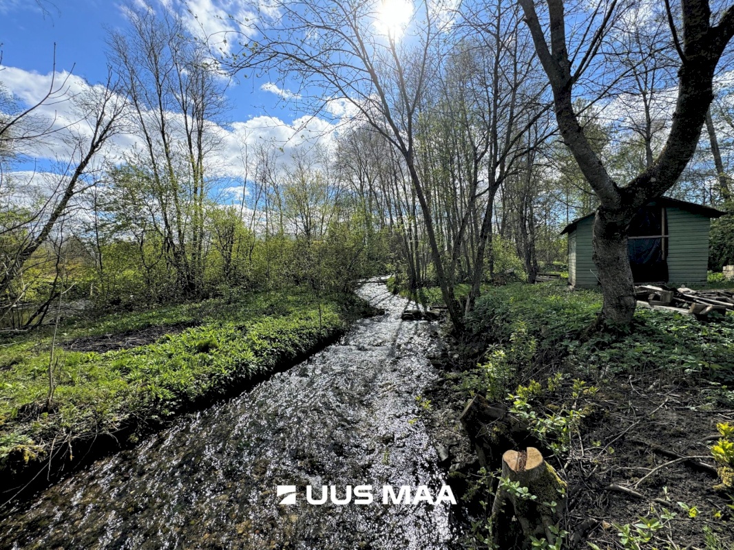 Vinni vald, Vetiku küla, Muru vkt 12