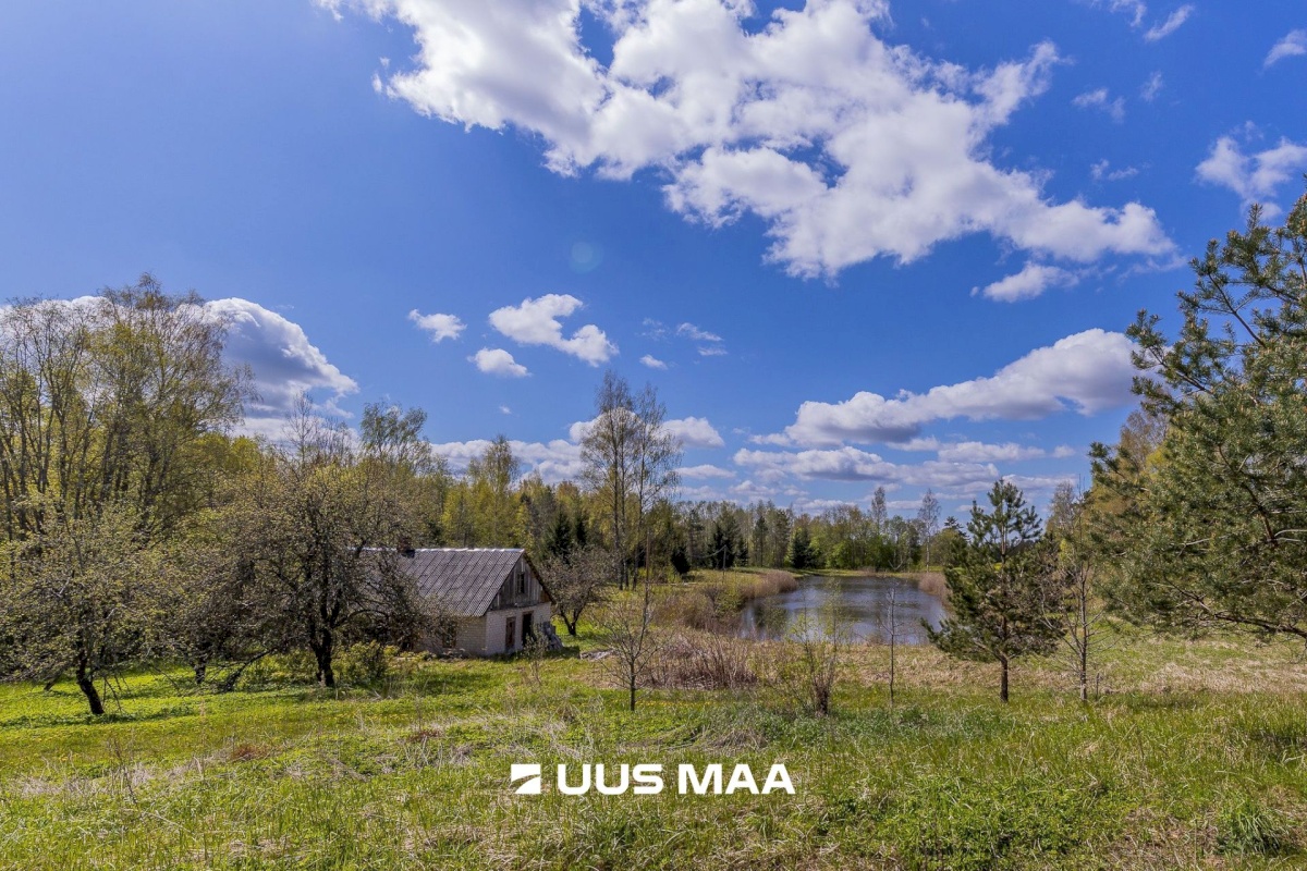 Rõuge vald, Palli küla