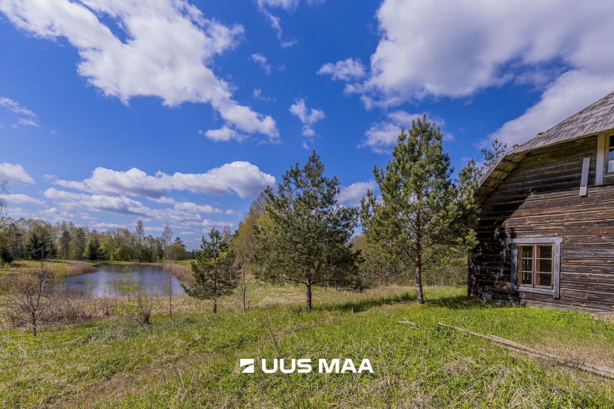 Rõuge vald, Palli küla