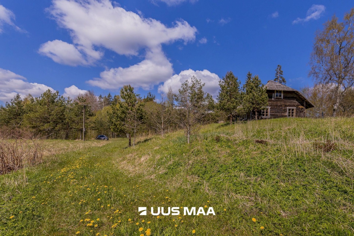 Rõuge vald, Palli küla