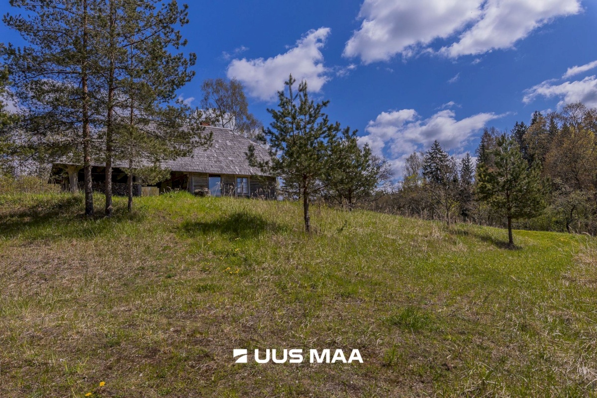 Rõuge vald, Palli küla